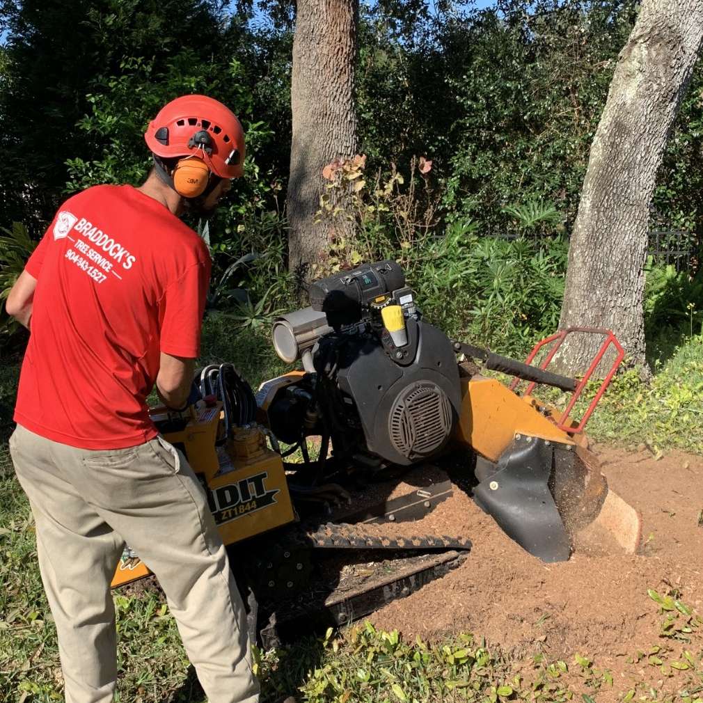 trim pro tree service, Newberry FL